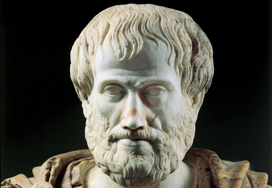 Aristotle 384-322 BC