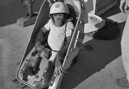 Astrochimp Ham - The First Primate in Space