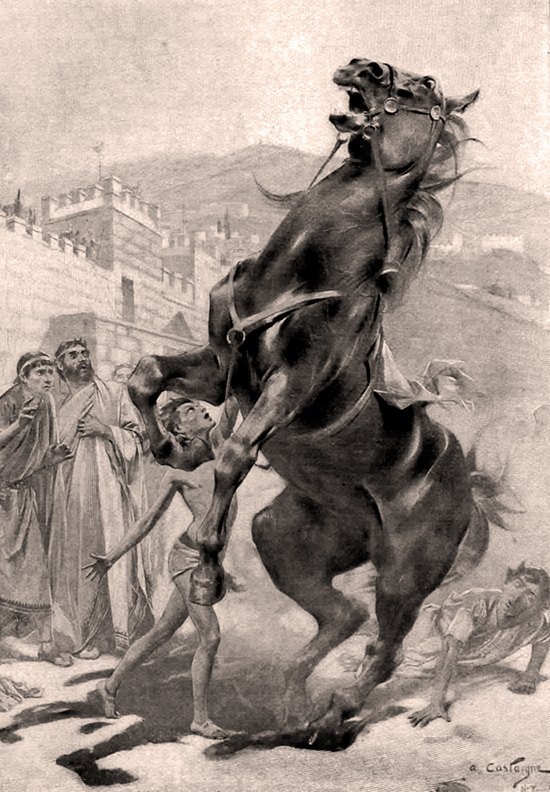 The Taming of Bucephalus