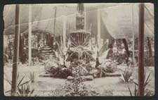CINCO DE MAYO IN MEXICO CITY EARLY 1900s