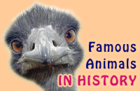Famous Animals in History