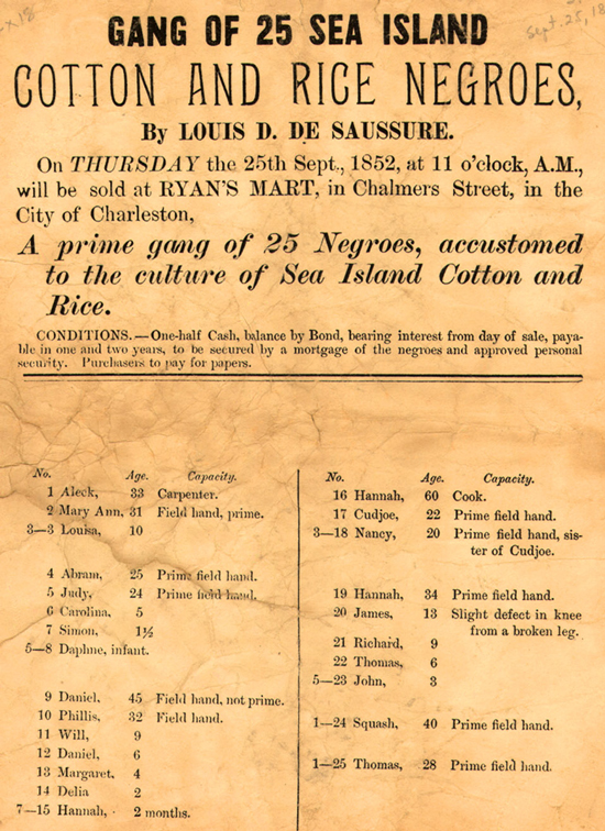 Gang of 25 Sea Island Cotton And Rice Negroes, By Louis D. De Saussure, 1852