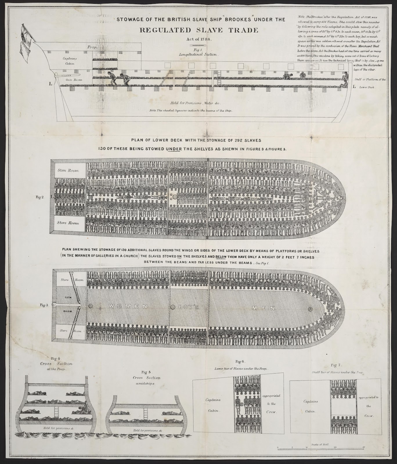 Stowage of the British Slave Ship "Brookes" Under the Regulated Slave Trade Act of 1788