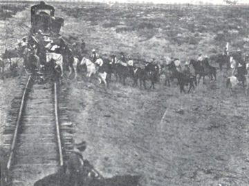 Favorite pastime of Mexican revolutionaries, blowing up trains.