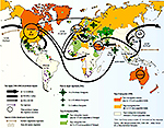 2005 Global Migration