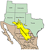 Chihuahuan Desert 2010