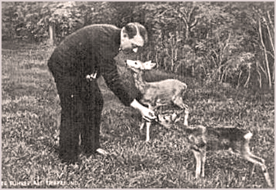 Adolf Hitler 1889 � 1945