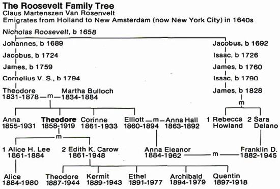 Eleanor Roosevelts Family Tree